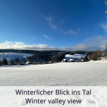 Auszeit Apartment Black Forest: Panoramic Retreat with Indoor Pool and Sauna Schonach im Schwarzwald Exterior photo