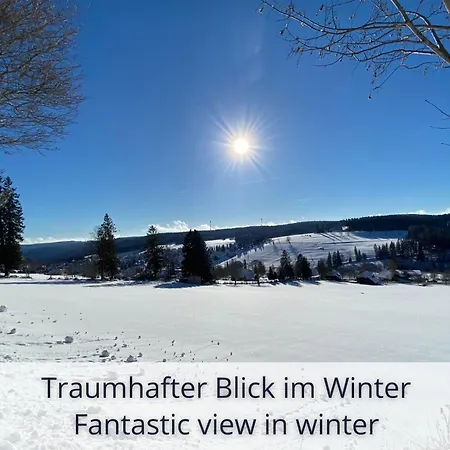 Auszeit Apartment Black Forest: Panoramic Retreat with Indoor Pool and Sauna Schonach im Schwarzwald Exterior photo