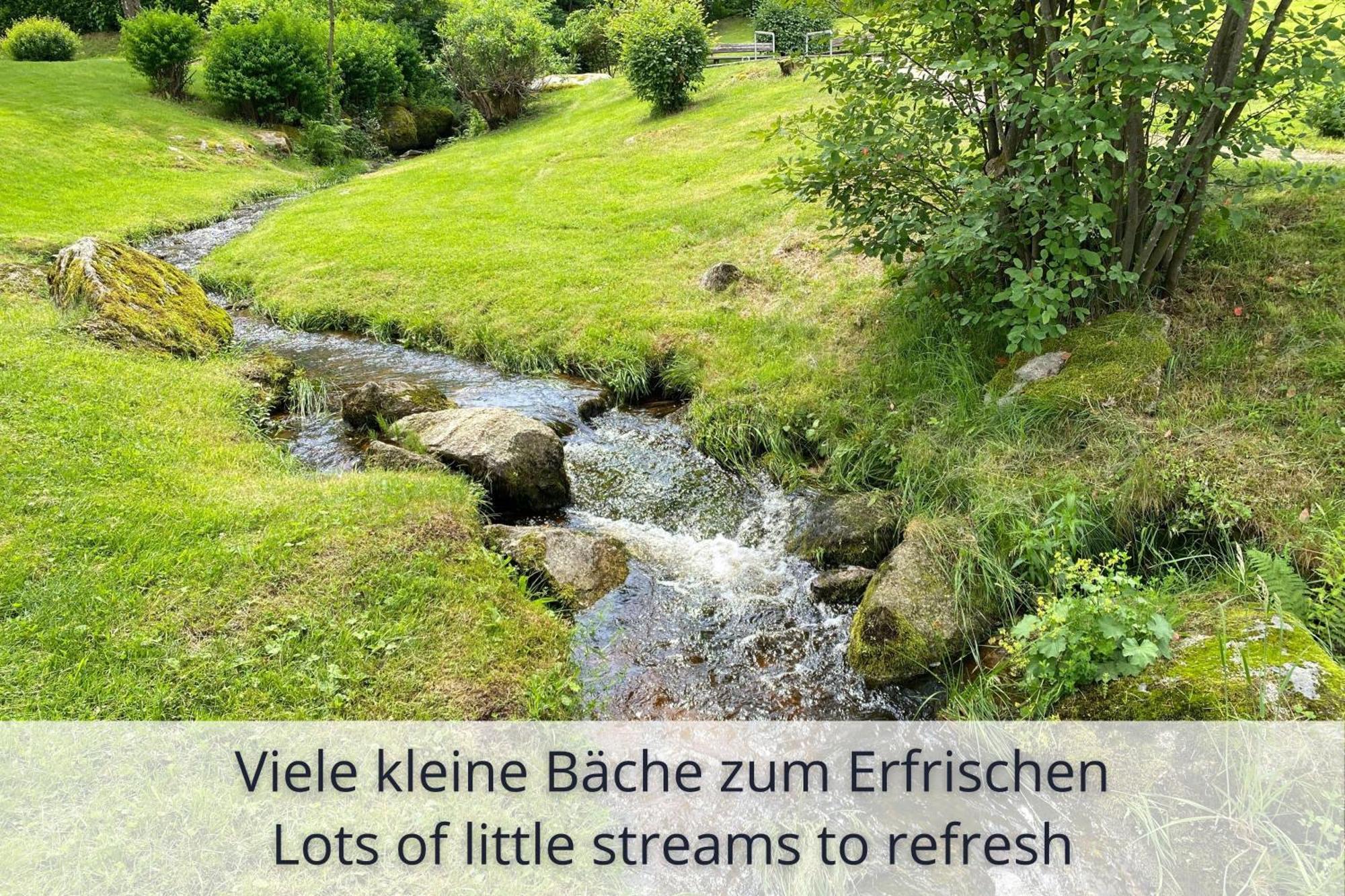 Auszeit Black Forest