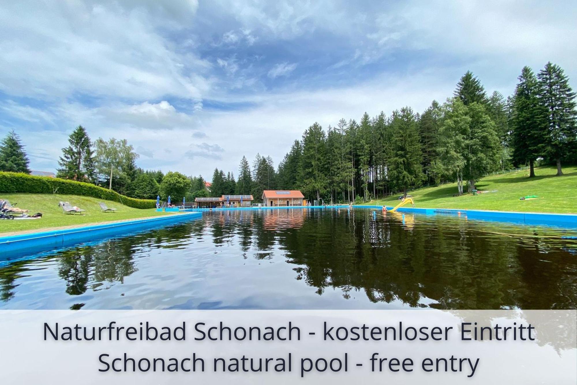 Auszeit Black Forest Apartament Schonach im Schwarzwald