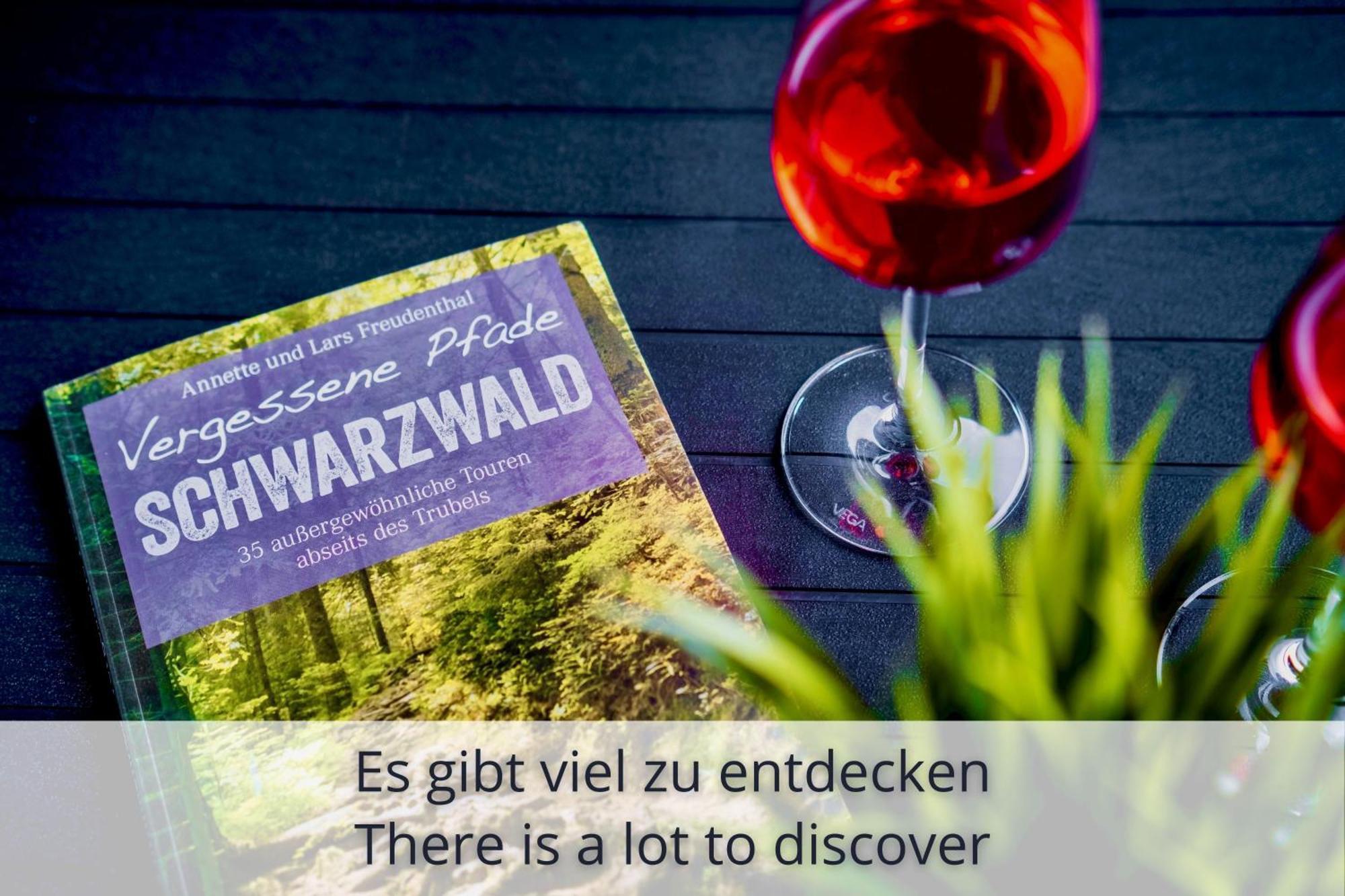 Apartament Auszeit Black Forest Schonach im Schwarzwald